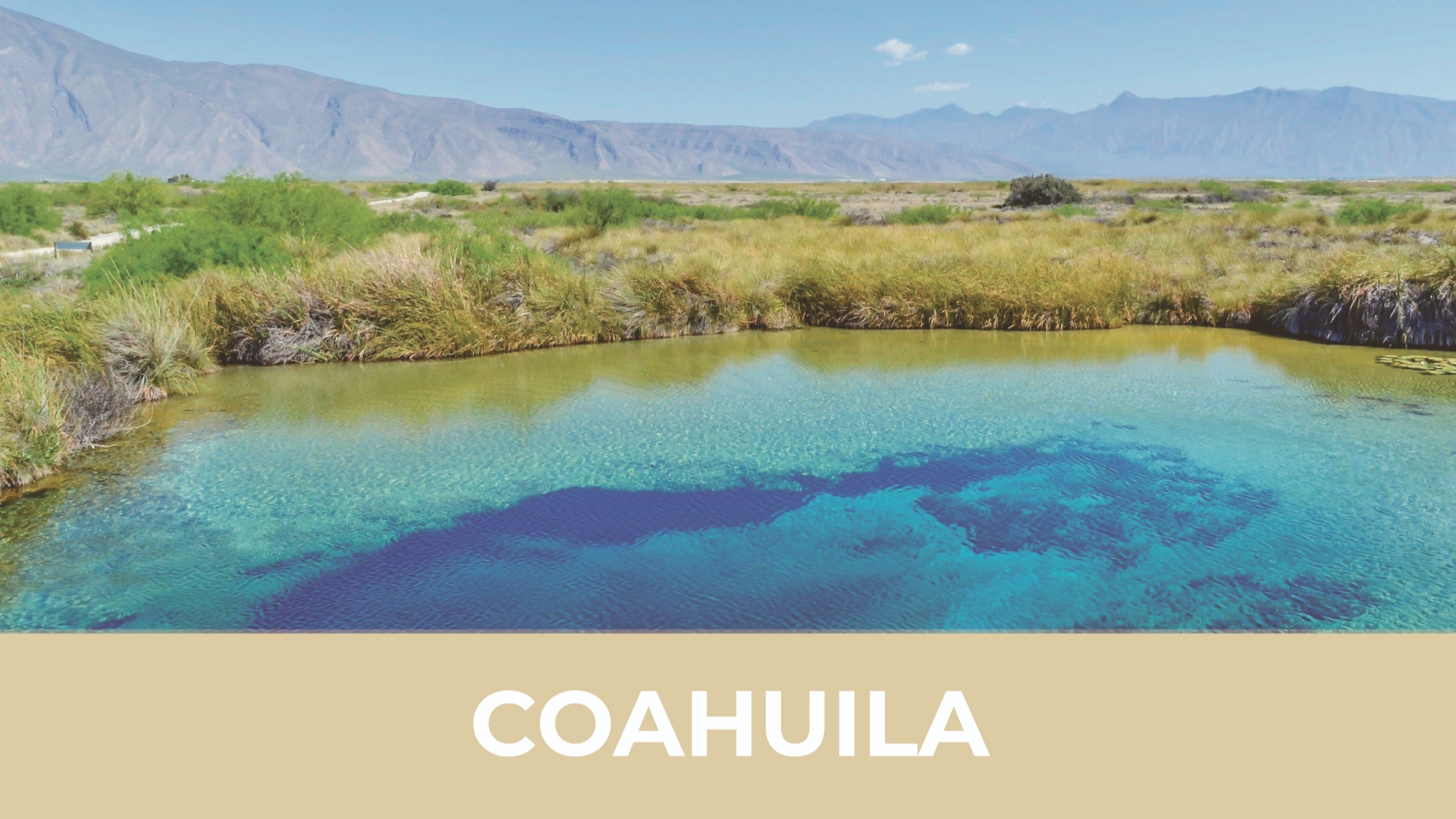 Coahuila